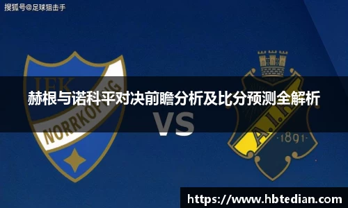 赫根与诺科平对决前瞻分析及比分预测全解析